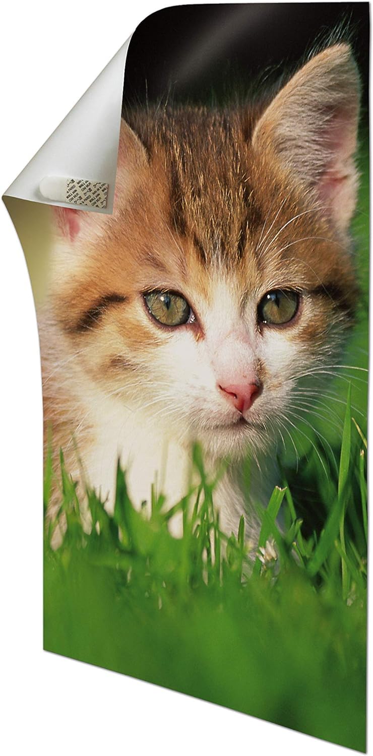 Command languettes posters blanches lot 60 bandes petites