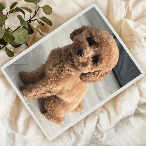 Creative Deco Boîte Rangement Bois Blanc Photo 40x30 cm